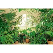 Papier peint panoramique trompe l'oeil fenêtre & plante | Tapisserie panoramique végétal idéale chambre | Papier peint panoramique jardin d'hiver