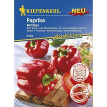 Blockpaprika Bendigo Capsicum annuum, Inhalt 7 Korn Gemüsesamen - Kiepenkerl