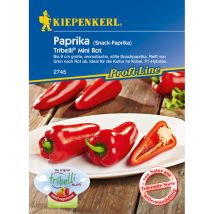 Snackpaprika Tribelli Mini Rot Capsicum Annuum, Inhalt 5 Korn Gemüsesamen - Kiepenkerl