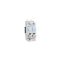 Legrand - Parafoudre bipolaire 70ka 400V type 2 haute capacité pour tableau principal avec voyant 003921