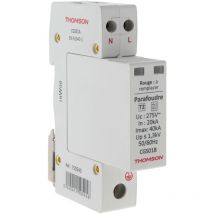Thomson - Parafoudre modulaire Ph+N idéal T2 - 40KA