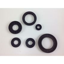 Paraolio 25x38x7 Honda motore rasaerba tosaerba gxv 140 - gxv 160 91252-888-003