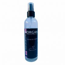 Parfum de luxe Bois d'orange - 250 ml