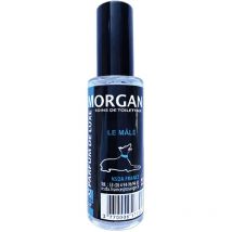 Parfum Morgan Le Mâle : 60ml