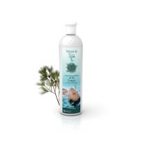 Camylle - Parfum de Spa à base d'huiles essentielles de Pin 250 ml
