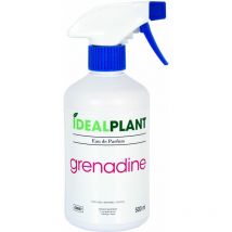 Parfum IdealPlant Grenadine : 500ml