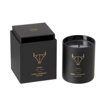 Bougie Parfumée 'Taureau' 10cm Rainbow Reef