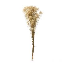 Bouquet de Fleurs "Gypsophile Séché" 84cm Écru