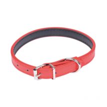 Collier pour Chien "Design Uni" 30cm Rouge