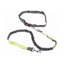 Kit Running pour Chien 'Réfléchissant' 120cm Gris