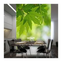Papier Peint "Feuilles Shallow Focus" 193 x 250 cm