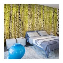 Papier Peint "Forêt de Bouleaux II" 450x270cm