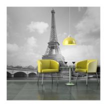 Papier Peint "Seine & Tour Eiffel" 270 x 350 cm