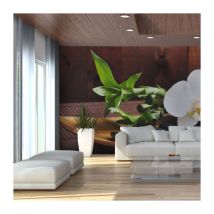Papier Peint "Temple Zen II" 270x450cm