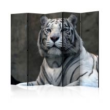 Paravent 5 Volets "Bengali Tiger in Zoo" 172x225cm