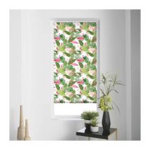 Store Enrouleur Tamisant "Zootica" 60x90cm Vert