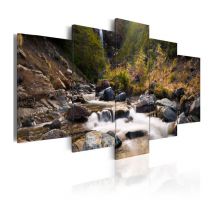 Tableau Imprimé "Cascade dans la Nature Vierge" 50 x 100 cm