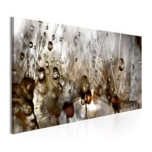 Tableau Imprimé "Drops of Water" 50 x 150 cm