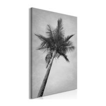 Tableau Imprimé "High Palm Tree" 60 x 90 cm