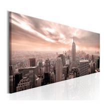 Tableau Imprimé "Pink Mist" 40 x 120 cm
