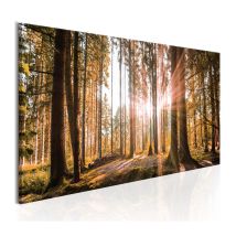 Tableau Imprimé "Small Natural Wonders" 50 x 150 cm