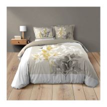 Housse de couette 260 x 240 cm coton 42 fils + 2 taies Enora