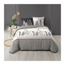 Housse de couette 260 x 240 cm coton 57 fils + 2 taies Cyliane