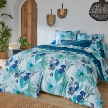 Linnea - Parure de lit percale de coton moorea pacific bleu cobalt Taie 50x70 cm 280x240 cm