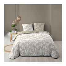 Parure de Lit 3 Pièces 'Oliana' 240x220cm Beige