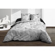 Parure Drap plat + drap-housse 160x200 + 2 t - Pur coton 57 fils - Olinda gris