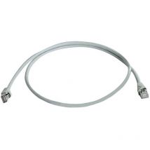100008175 RJ45 Netzwerkkabel, Patchkabel cat 5e s/ftp 0.50 m Grau Flammwidrig, mit Rastn - Telegärtner
