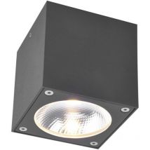 Paul neuhaus 9674-13 plafonnier d'extérieur à led georg
