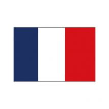 Pavillon France - 20 x 30 cm
