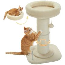 Pawz Road - Arbre à Chat, Griffoir pour Chat de Gros Diamètre 14cm avec Coussin Amovible, Pompon et Boule à Ressort, 60cm, Beige