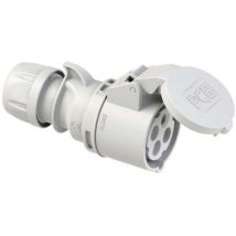 Shark 214-1 Femelle cee 16 a 4 pôles 1 pc(s) - Pc Electric