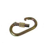 PCA-1276 Mousqueton bloquant ovale en acier