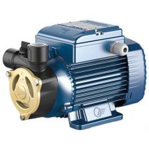 Pedrollo - PQA60 Électropompes avec roue périphérique refroidissement 0,3kW 0,4HP
