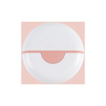 Peigne pour animaux de compagnie Chat Chien Peigne Brosse pour animaux de compagnie Fournitures de nettoyage pour animaux de compagnie(version courte