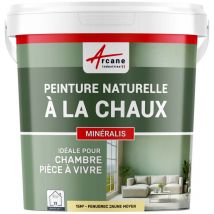 Arcane Industries - Peinture chaux naturelle : peinture sans émanation mineralis - 15 m² (2.5 kg en 1 couche) Fenugrec Jaune Moyen
