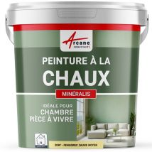Peinture chaux naturelle : peinture sans émanation mineralis - 30 m² (5 kg en 1 couche) Fenugrec Jaune Moyen Arcane Industries