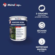 Peinture Acier Antico - 0.4 l - Bombe 400 mL - 1000 - Beige vert Metaltop
