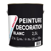 Peinture Acrylique brillante 2.5 litres blanc - TDP RECA
