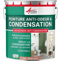 Peinture anti condensation anti odeur moisissure - 2.5 l Rouge beige - ral 3012 Arcane Industries