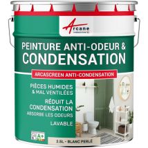Arcane Industries - Peinture anti condensation anti odeur moisissure - 10 l Blanc Perlé - ral 1013