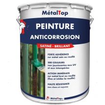 Metaltop - Peinture Anticorrosion - Pot 5 l - 4010 - Télémagenta