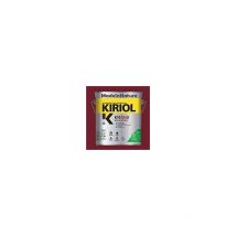 Peinture antirouille K10 Duo comus Satin Rouge pourpre 0.75L - A013228