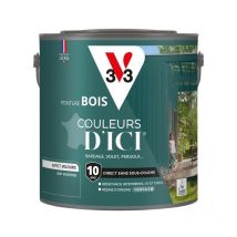 Peinture bois extérieur Couleurs d'Ici V33 Vert profond Velours 2L