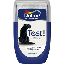 Testeur couleur Blanc 30 mL - Peinture Dulux Valentine