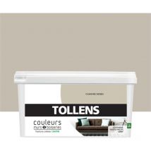 Peinture Couleurs pour Murs et Boiseries Tollens Toutes pièces - Ultra résistante - Satin - Chanvre - 2,5L = 30m2