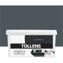 Tollens - Peinture Couleurs pour Murs et Boiseries Toutes pièces - Ultra résistante - Satin - Gris Anthracite - 2,5L = 30m2